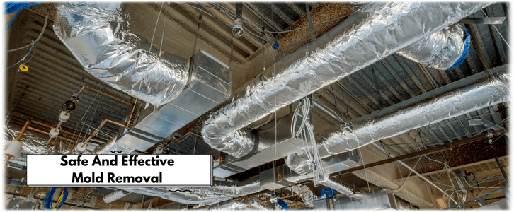 Air Duct Mold Removal in Katy