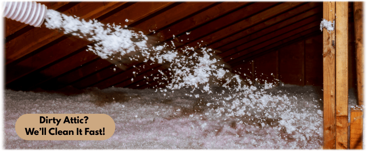 Attic Cleaning Katy
