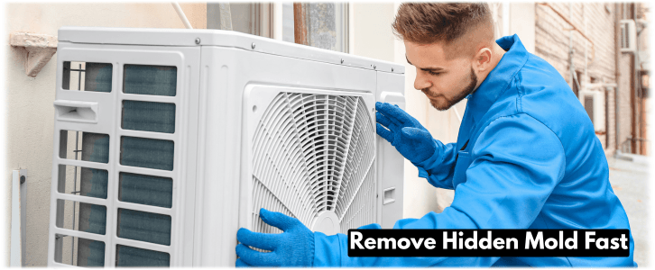 HVAC Mold Removal Katy